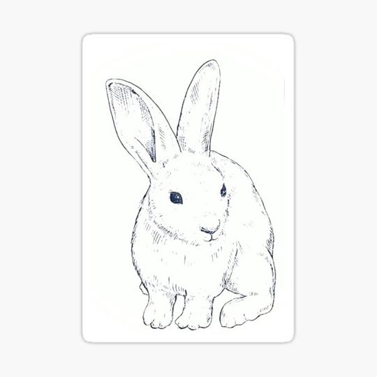 Discover Hippity hoppity bunny rabbit