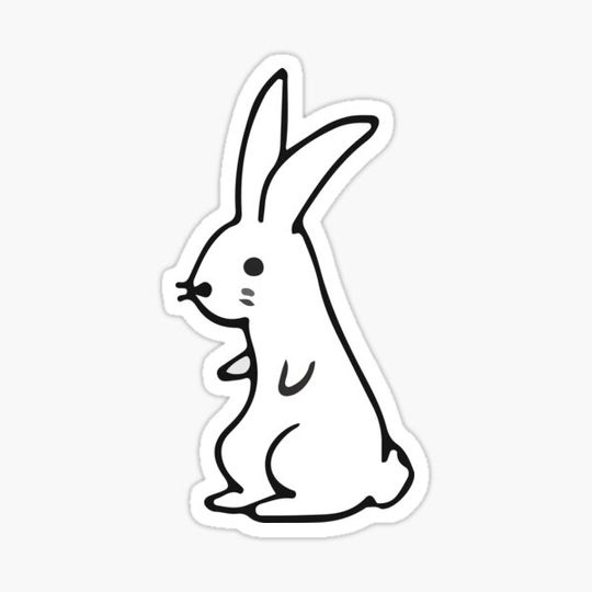 Discover Friendly Bunny