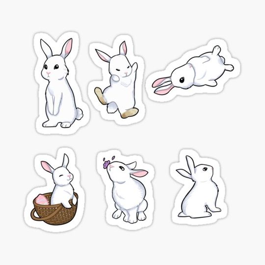Discover Cute White Bunnies Pack
