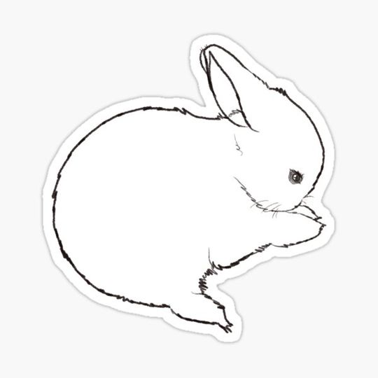 Discover Polish rabbit
