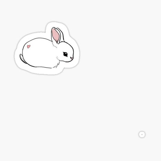 Discover Cute baby rabbit with heart