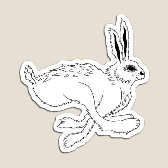 Discover White Rabbit