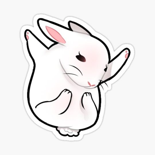 Discover Bunny Hug