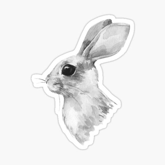Discover Watercolor rabbit BW