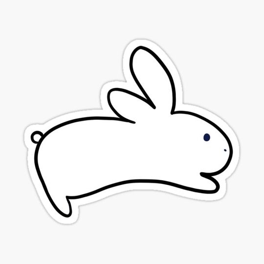 Discover Little Rabbit