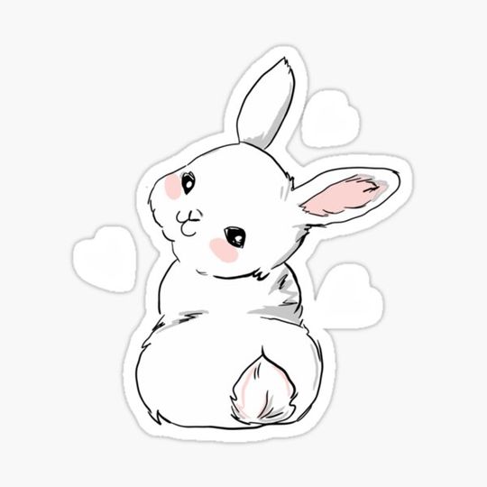 Discover White rabbit