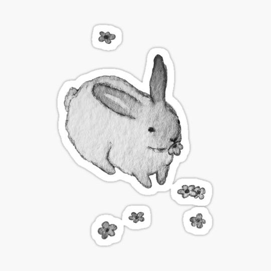 Discover Chubby White Bunny