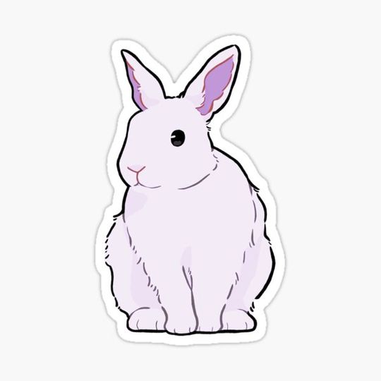 Discover Lavender Bunny