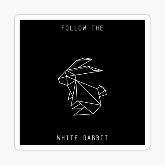 Discover Follow the White Rabbit