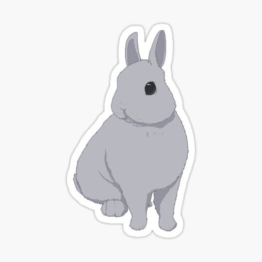 Discover Sitting Bunny