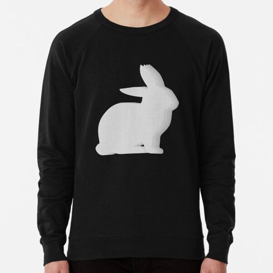 Discover cute rabbit