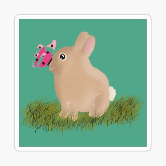 Discover Bunny and butterfly