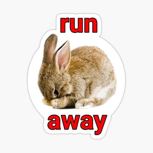 Discover Run away