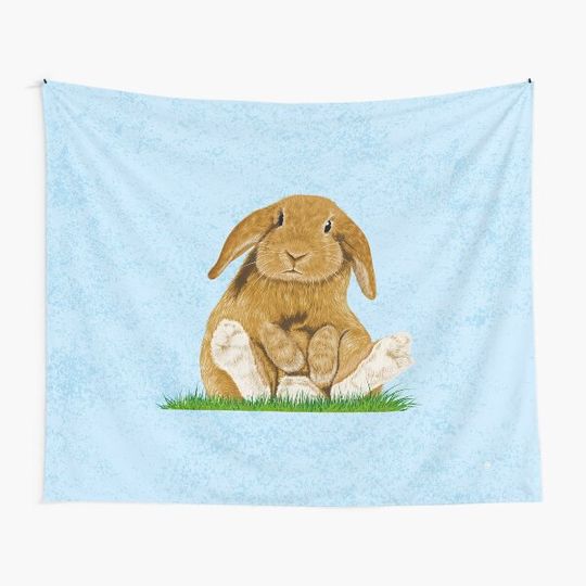 Discover Rabbit