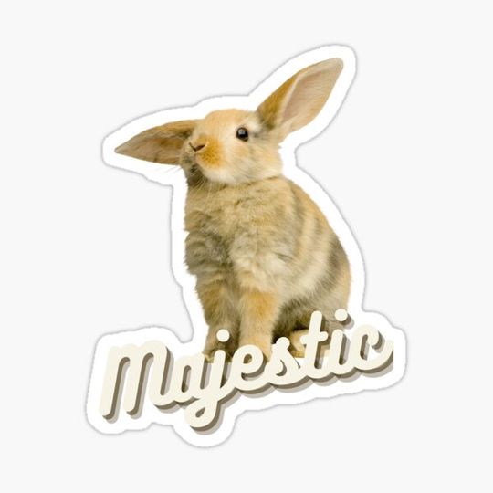 Discover Majestic rabbit