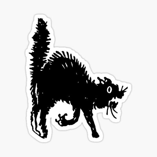 Discover Black Street Cat - Cool Funny Helmet Motorcycle Or Bumper