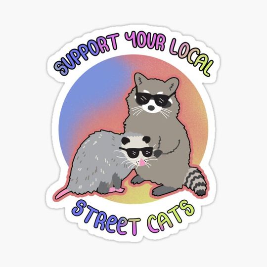 Discover Support Your Local Street Cats
