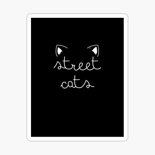 Discover Street Cats