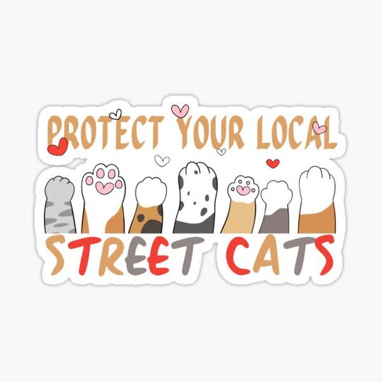 Discover Protect Your Local Street Cats