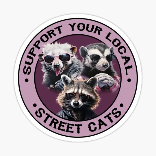 Discover Support Your Local Street Cats Vintage Raccoon opossum shunk
