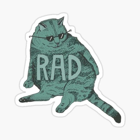 Discover rad cat