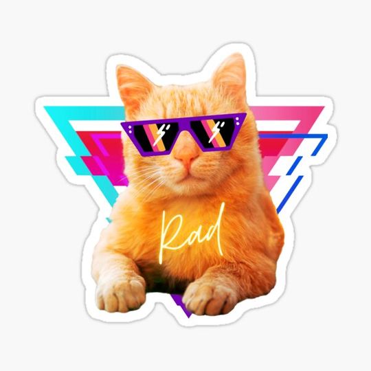 Discover Rad Kitty
