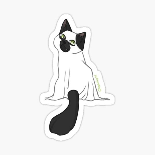 Discover Spooky Cat