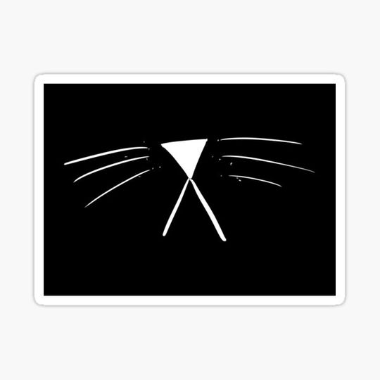 Discover Unhappy Cat