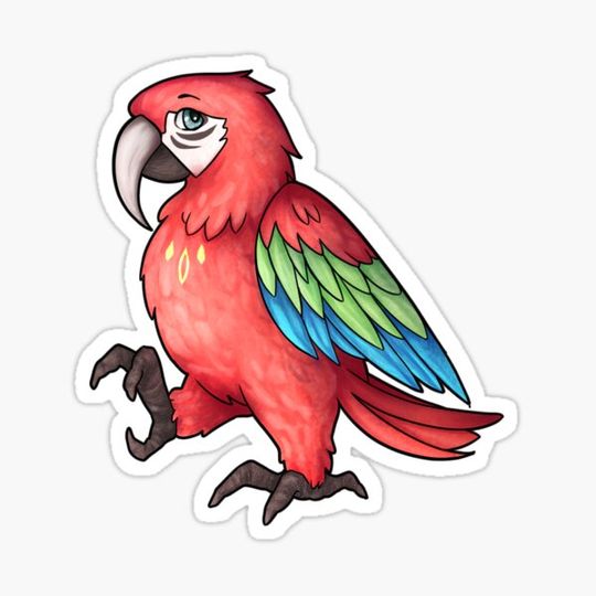 Discover Birbo Parrot