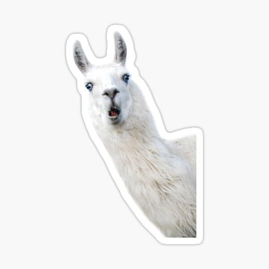 Discover Funny Llama