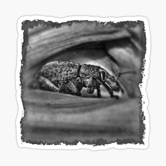 Discover Gallery Of The Lost 12