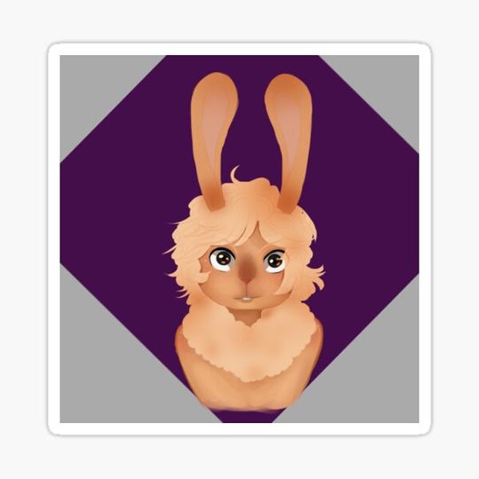 Discover Rabbit