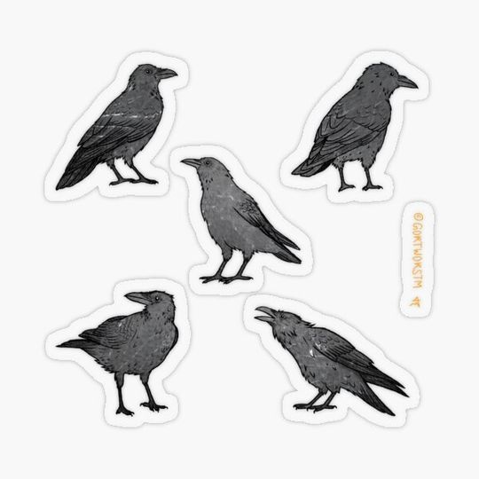 Discover Crows Sticker Sheet