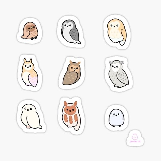 Discover owl and owl