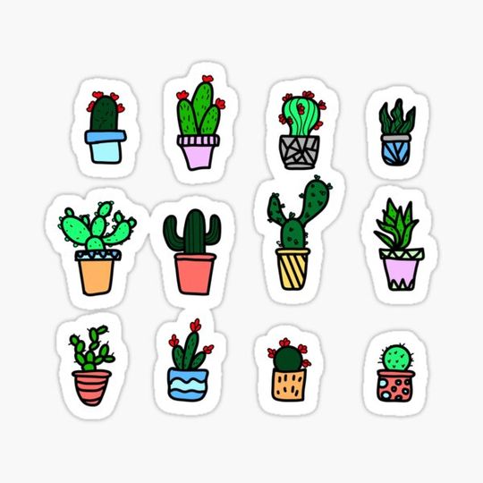 Discover Cute Cactuses