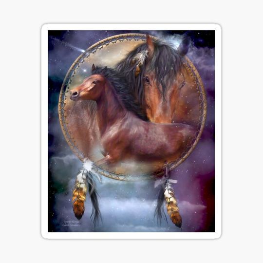 Discover Dream Catcher - Spirit Horses