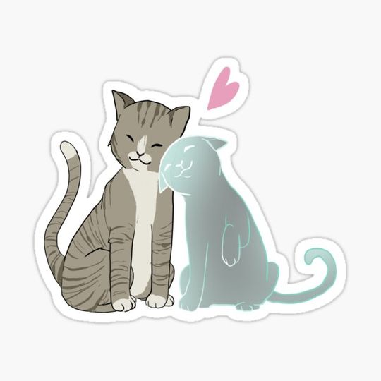 Discover Cat love