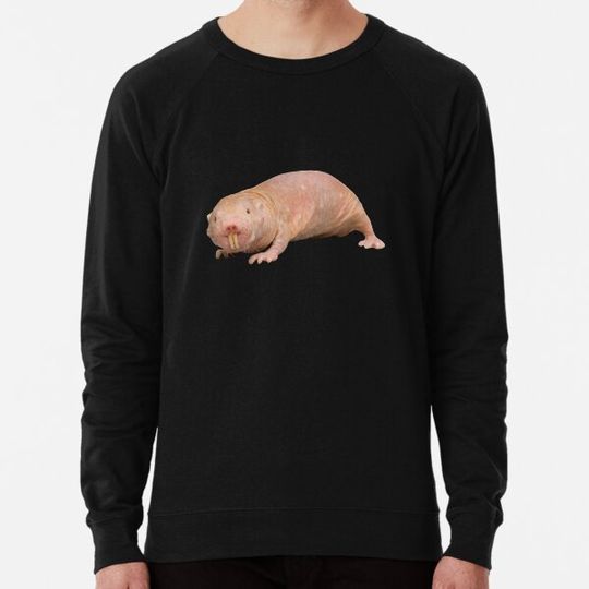 Discover Mole Rat
