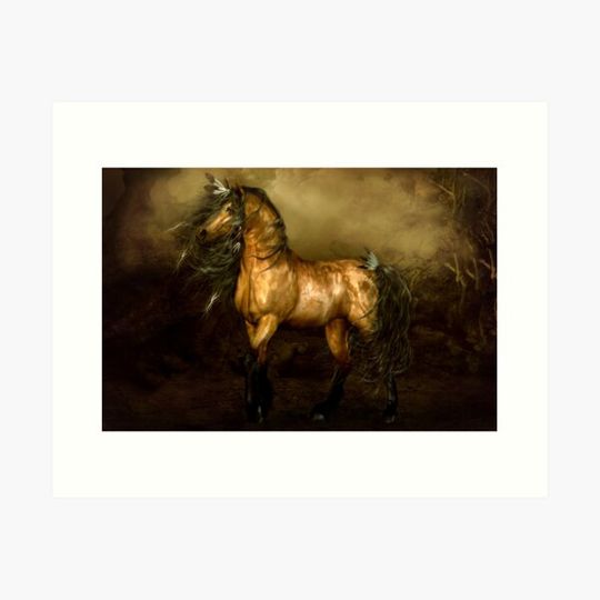 Discover Shikoba - Choctaw Native American Horse