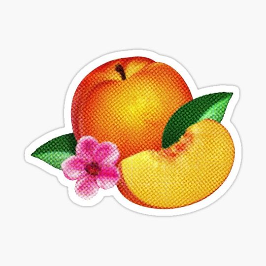Discover Bankrupt! Peach