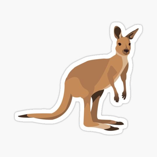 Discover Kangaroo