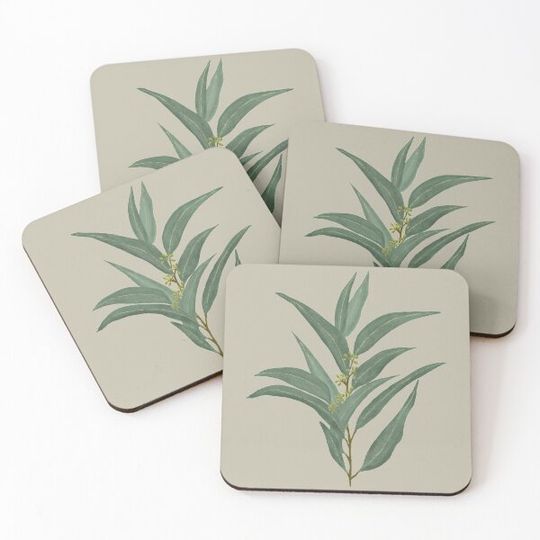 Discover Small Fruited Grey Gum Tree Leaves