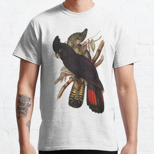 Discover Red Tailed and Yellow Tailed Black Cockatoo