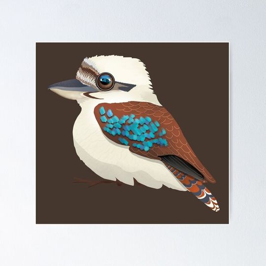 Discover Kookaburra