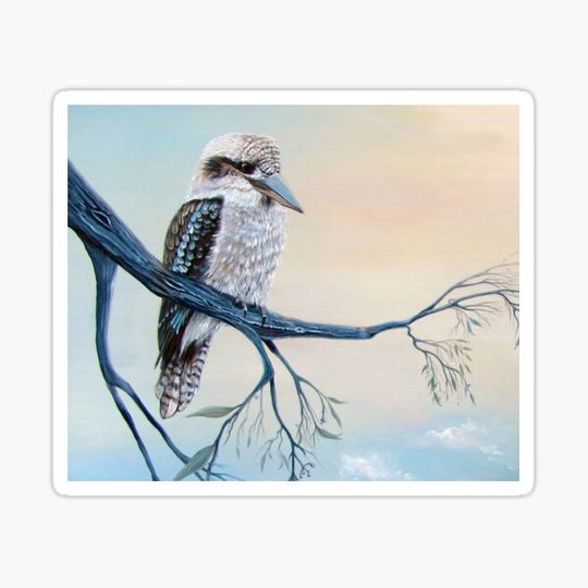 Discover Kookaburra Delight