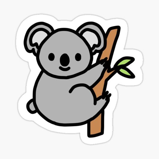 Discover koala
