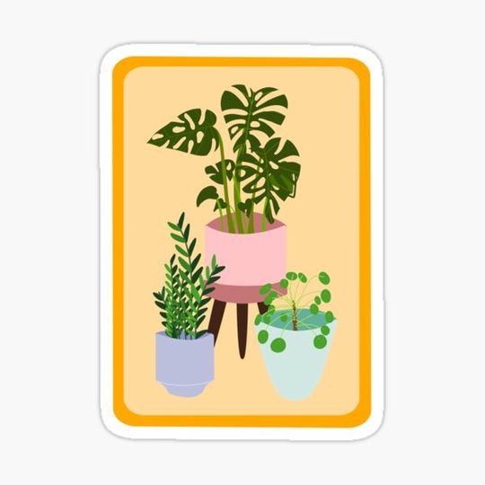 Discover House Plants