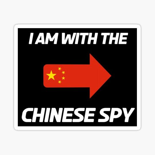 Discover Chinese Spy Costume 1410