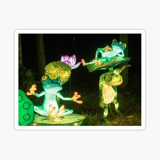 Discover Frogs
