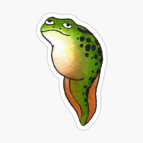 Discover Tadpole